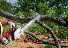 Best Weed Control  in Central, TN